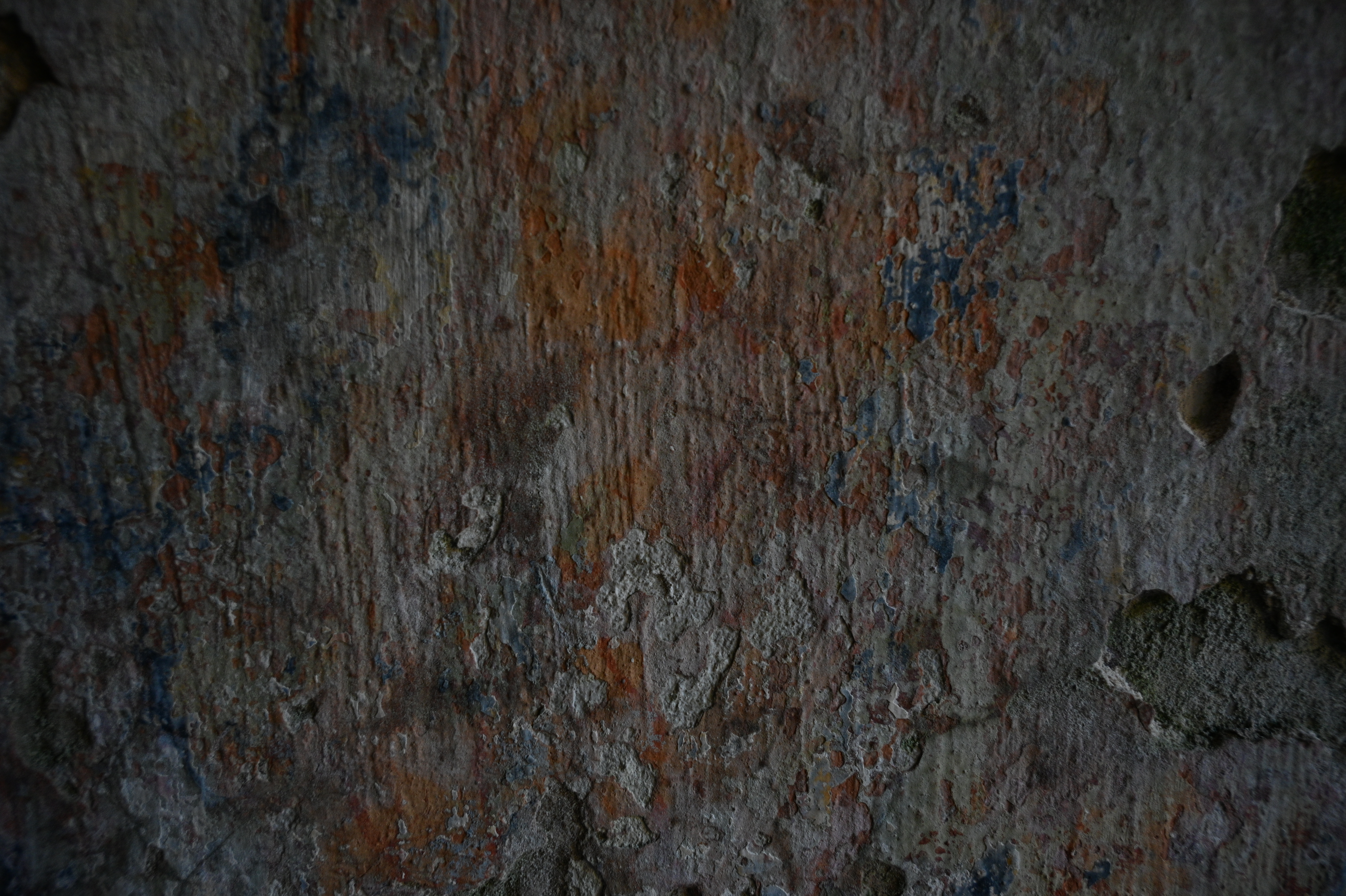 2025/10/18 - walk/DSC_0031.JPG